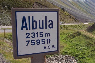 Albula